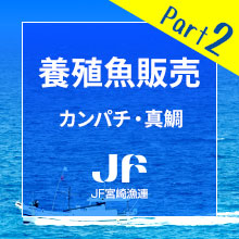 �{�B���̔� �J���p�`�E�^��