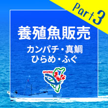 �{�B���̔� �J���p�`�E�^��E�Ђ�߁E�ӂ�