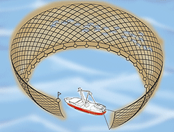 まき網漁業イラスト