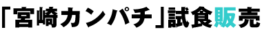 u{Jp`vH̔