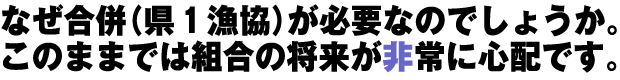 なぜ合併(県1漁協)が必要なのでしょうか。このままでは組合の将来が非常に心配です。