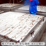 種糸を装着した新型藻礁(海底設置前)