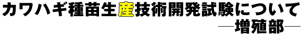 カワハギ種苗生産技術開発試験について