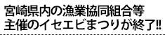 宮崎県内の漁業協同組合等主催のイセエビまつりが終了!!