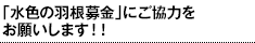 「水色の羽根募金」にご協力をお願いします！！