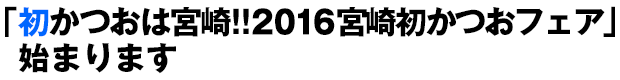 「初かつおは宮崎!!2016宮崎初かつおフェア」始まります