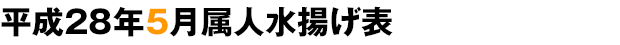 平成28年5月属人水揚げ表