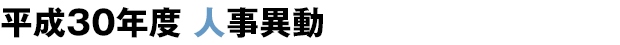 平成29年度人事異動