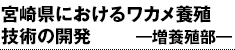 {茧ɂ郏J{B Zp̊J \{B\