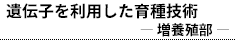 `q𗘗pZp |{B|