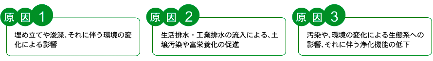干潟の役割
