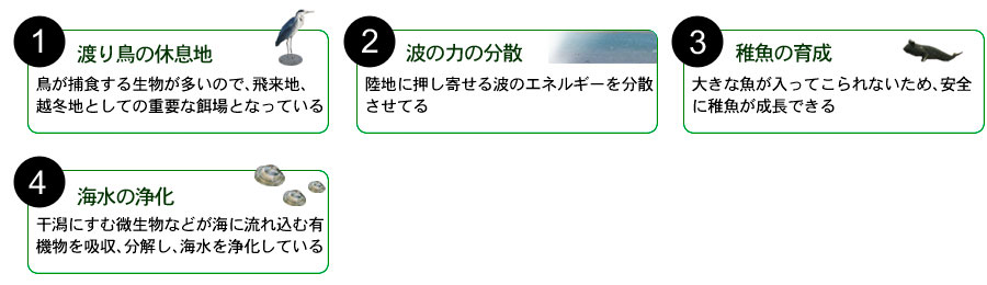 役割の解説