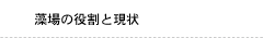 藻場の役割と現状